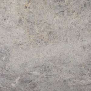 quartzite-platinum-close-up